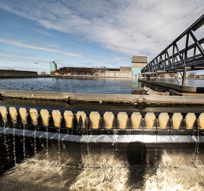 Spildevand på Bornholm bidrager med en lille del af øens samlede kvælstofudledning. Arkivbillede fra Rønne Rensningsanlæg. Spildevandet iltes.