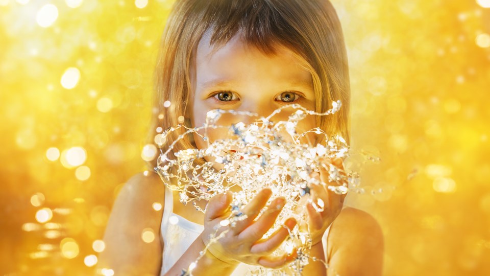 Shutterstock 2060149148